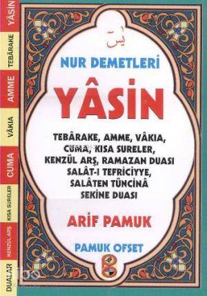 Nur Demetleri Yasin-Null