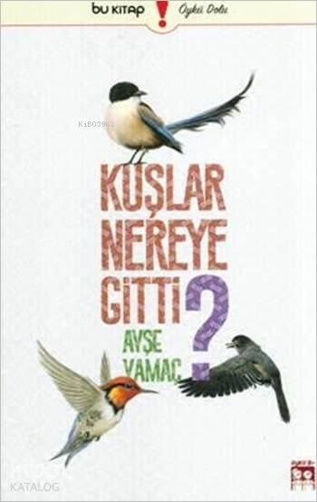 Kuşlar Nereye Gitti-Ayşe Yamaç