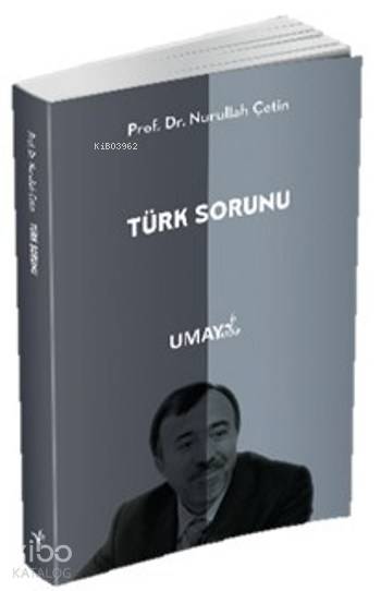 Türk Sorunu