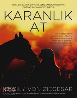 Karanlık At - Cecily von Ziegesar