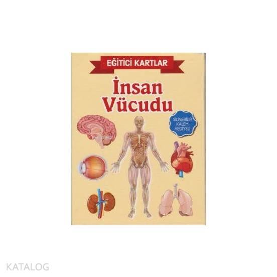 İnsan Vücudu - Ahmet Altay