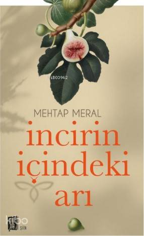 İncirin İçindeki Arı  - Mehtap Meral